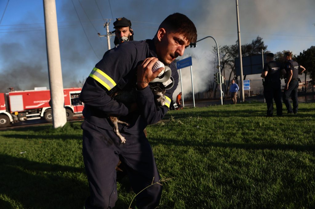 Πυροσβέστες έσωσαν γατάκια από τη φωτιά