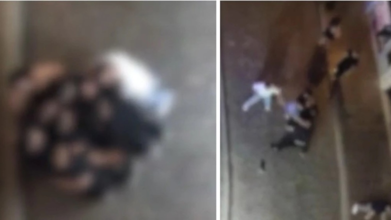 Ανελέητο ξύλο σε τουριστικό δρόμο του Ρεθύμνου