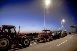 agrotes-10-1200x800