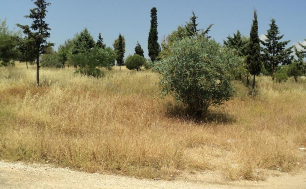 Ακαθάριστα οικόπεδα: Οι αλλαγές στις προθεσμίες και τα πρόστιμα