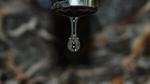 mukesh-sharma-eru5nk7w7ek-unsplash